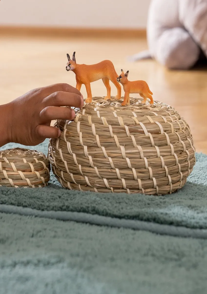 Schleich WILD LIFE Vrouwtjescaracal 14867