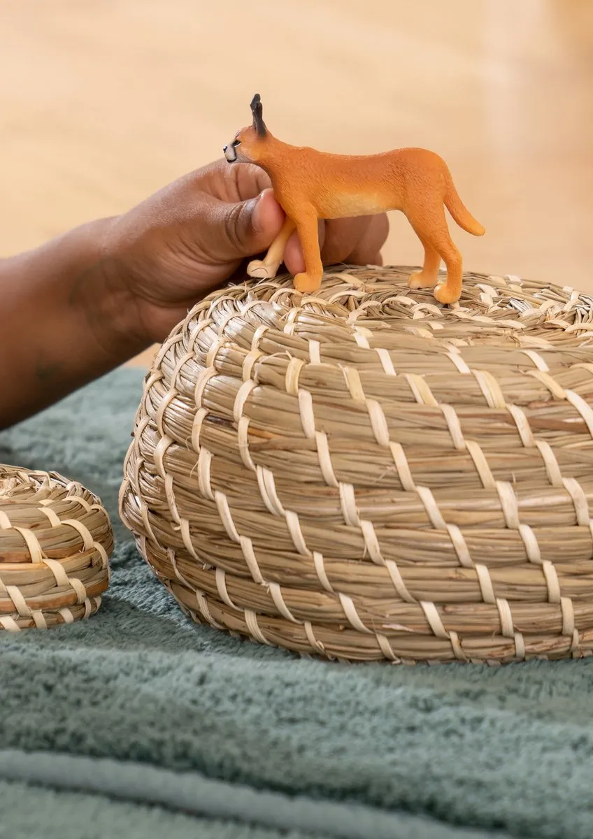 Schleich WILD LIFE Vrouwtjescaracal 14867