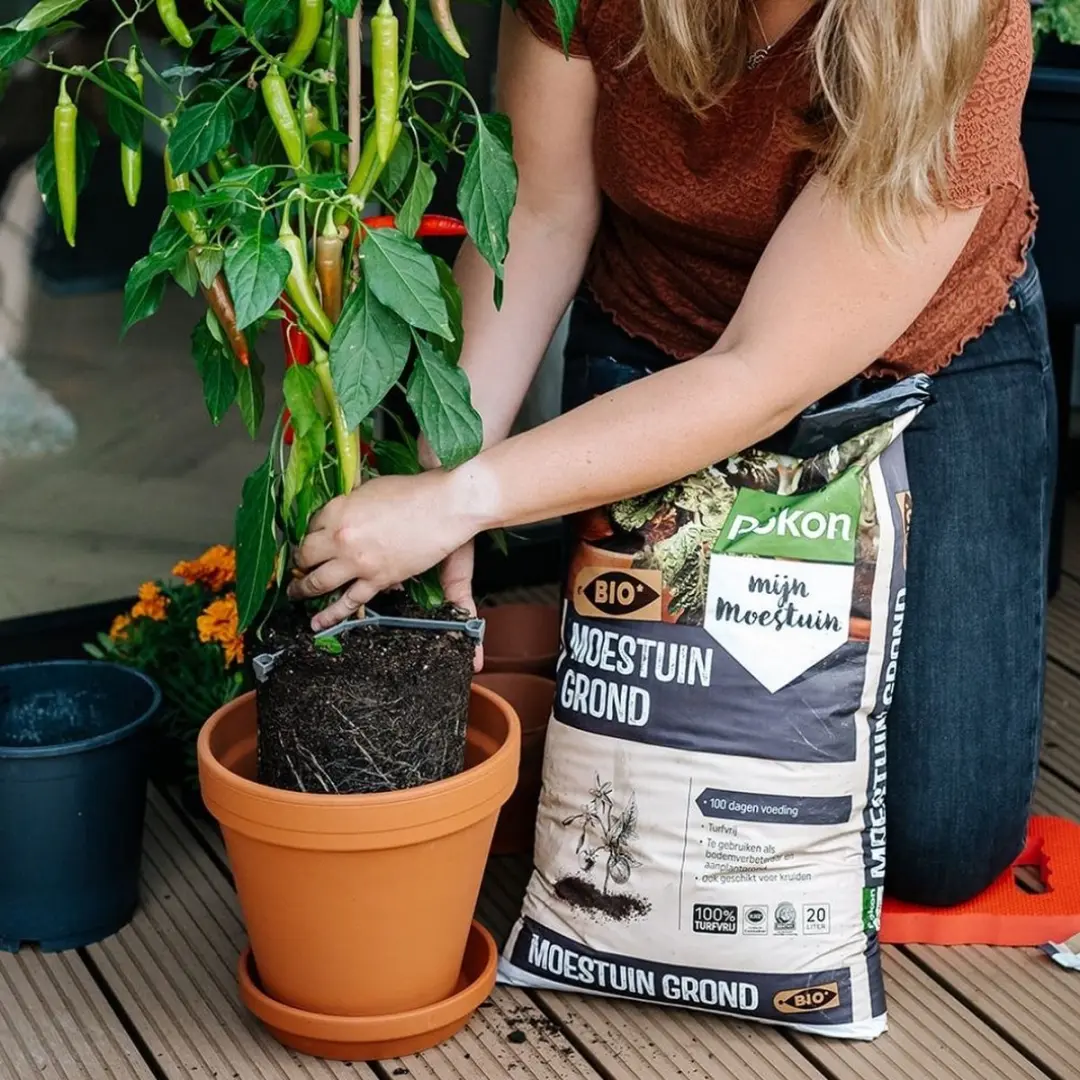 Pokon Bio Moestuingrond 10L - Turfvrij - afbeelding 5 van 6