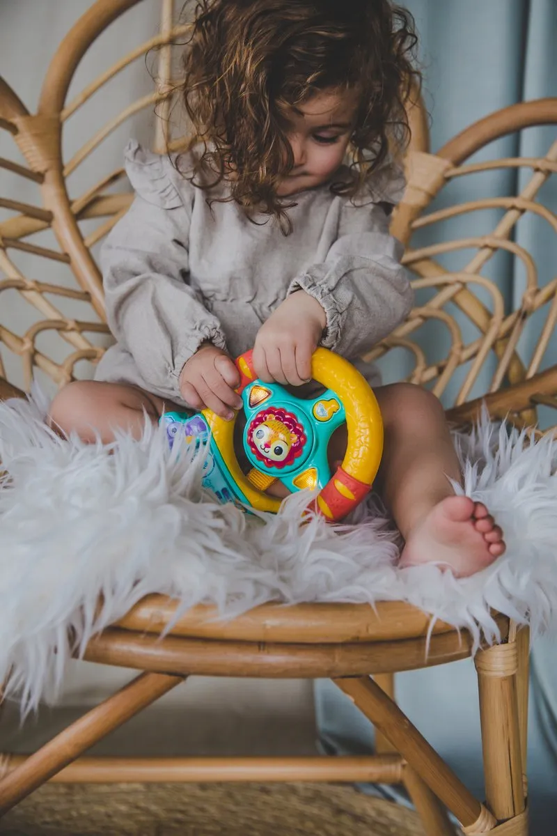 VTech Dierenvriendjes Toeter & Draai Stuurtje - Multikleuren