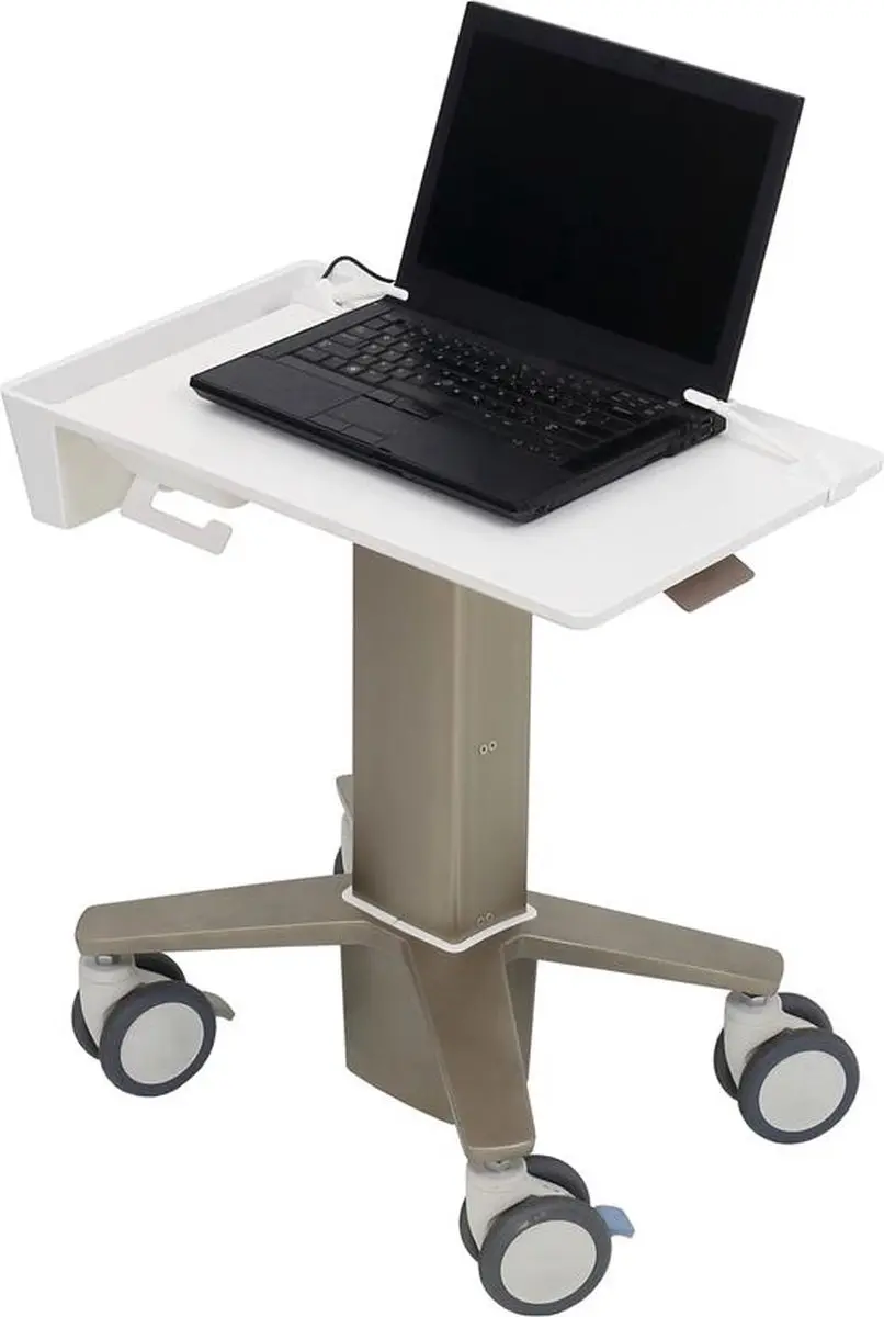 Ergotron C50-1100-0 Notebookstandaard 39,6 cm - Grijs