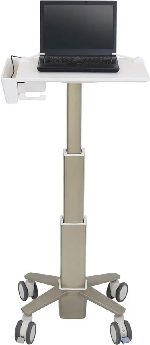 Ergotron C50-1100-0 Notebookstandaard 39,6 cm