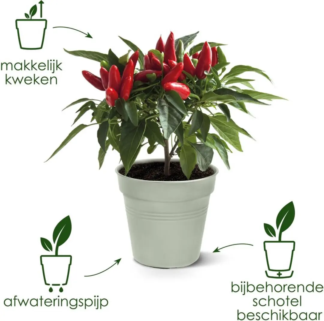 Elho Green Basics Kweekpot 40 Steengroen - 28.3L - afbeelding 3 van 6