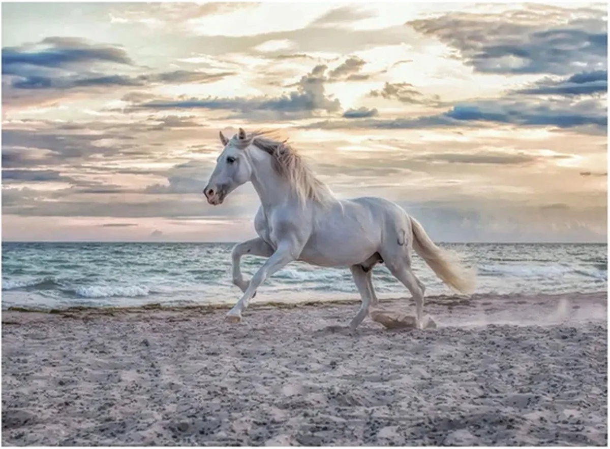 Ravensburger Paard op Strand Puzzel 500 Stuks