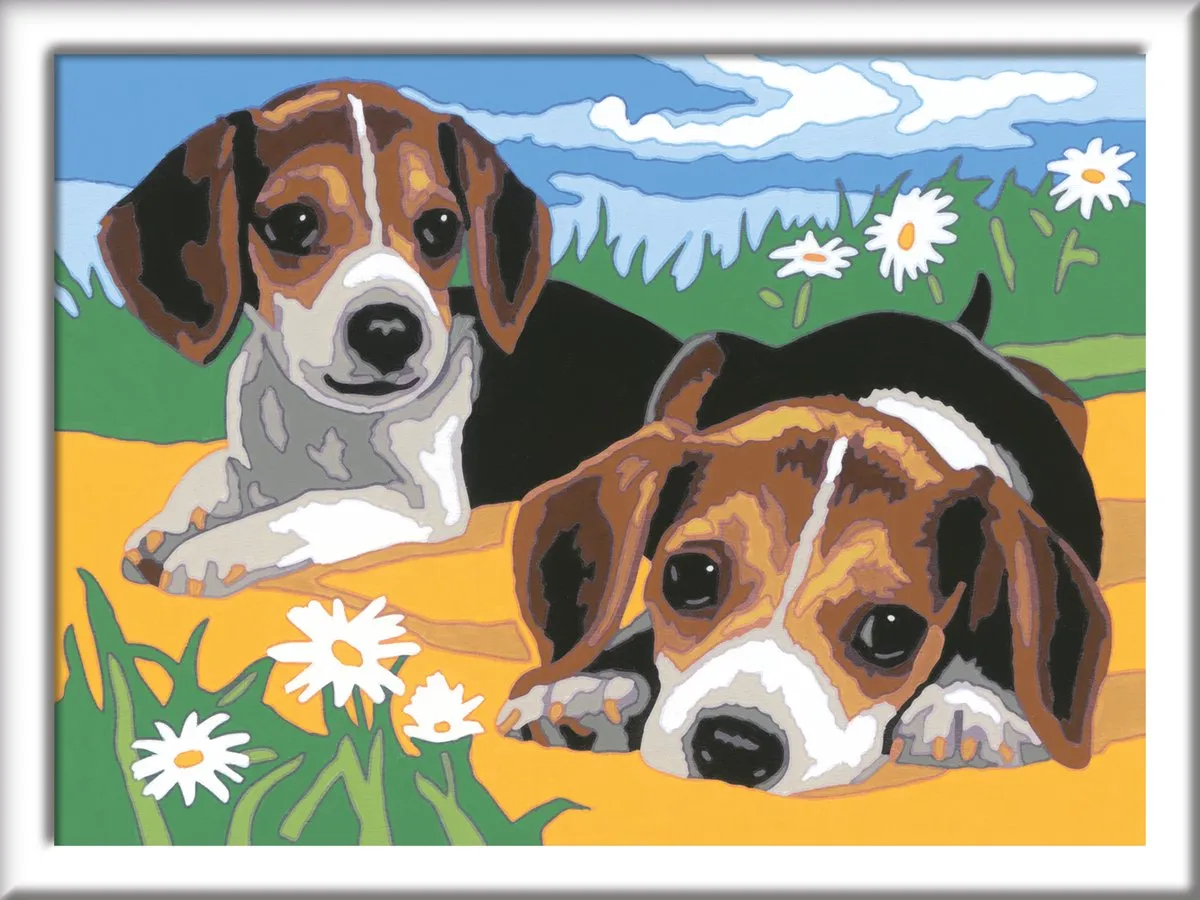 Ravensburger CreArt Beagle Puppies Schilderen op nummer - Multicolor