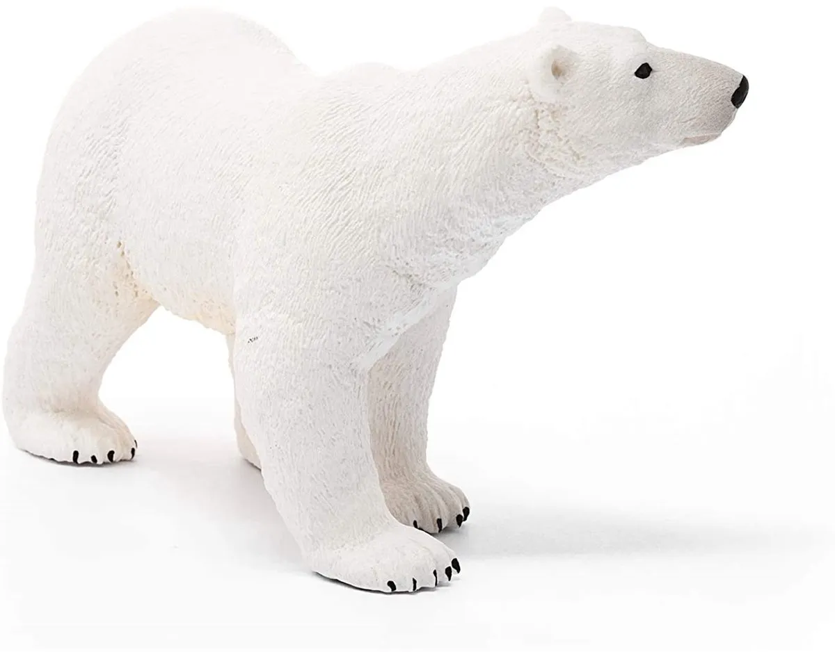 Schleich IJsbeer Speelfiguur 14800 - Wit - afbeelding 6 van 6