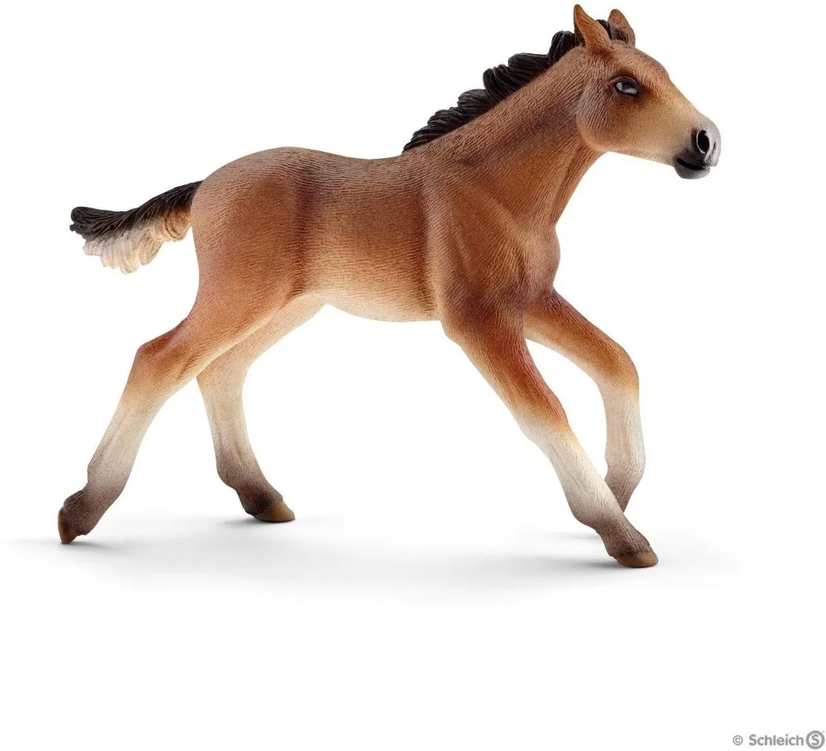 Schleich Mustang Veulen 13807