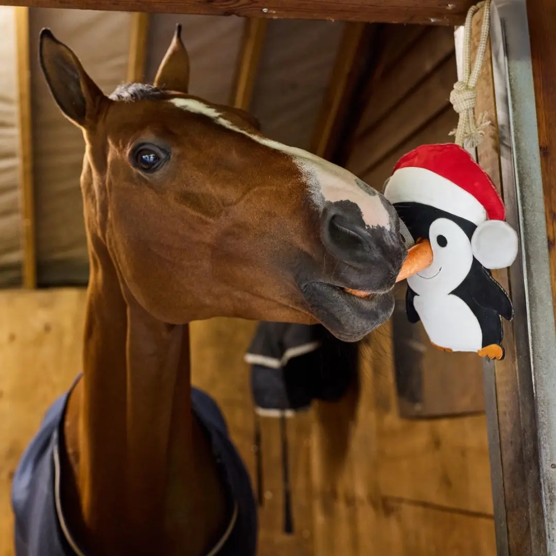 LeMieux Horse Toy Penguin