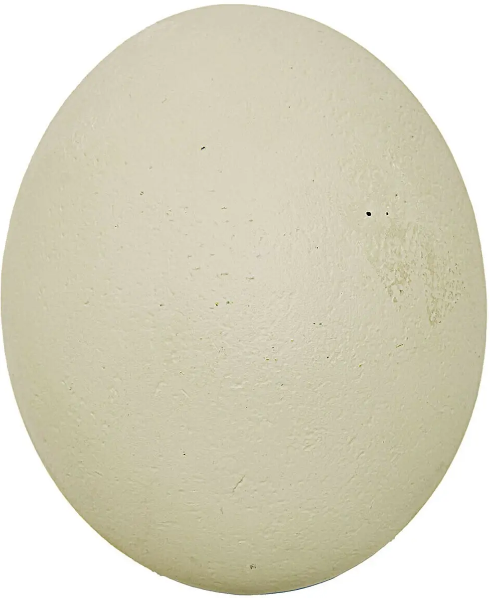 Loberon Decoratief Ei Fauverine