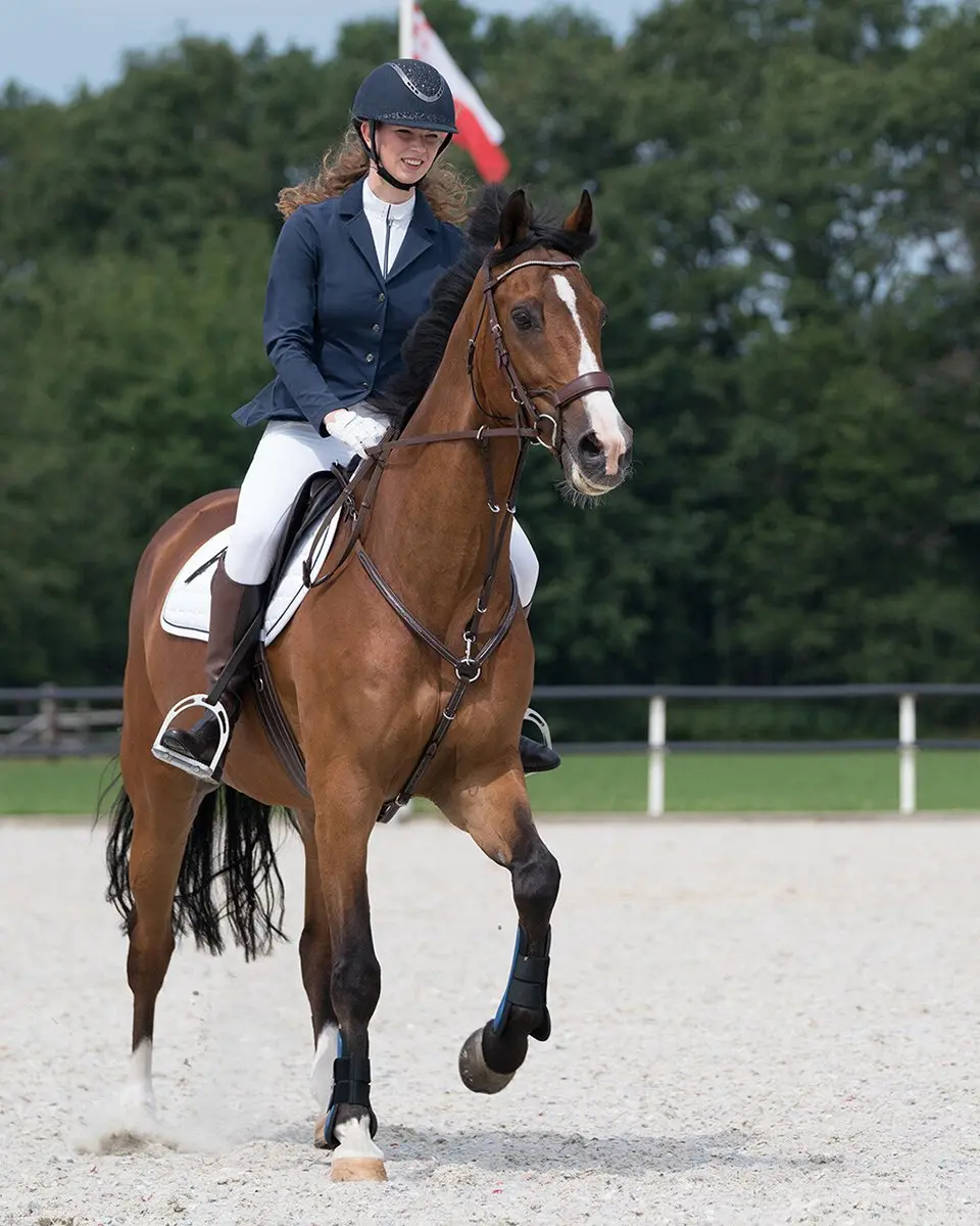 QHP Noven Wedstrijdjasje - Navy - Maat 42 - afbeelding 5 van 6