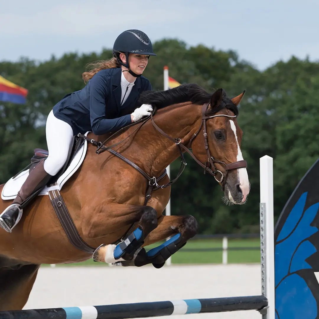 QHP Noven Wedstrijdjasje - Navy - Maat 42 - afbeelding 2 van 6