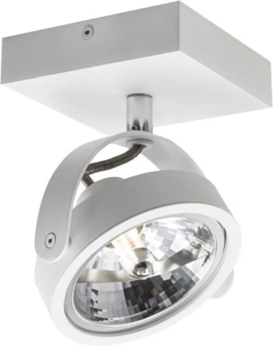 Artdelight Spot Wajer 1 Lichtpunt 12cm