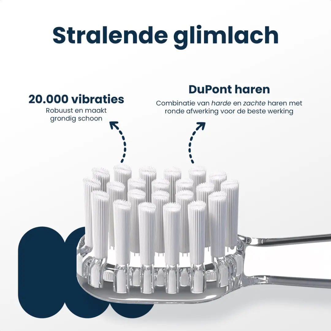 Dutsi Opzetborstels 6-pack - 18-48 maanden - Multicolor