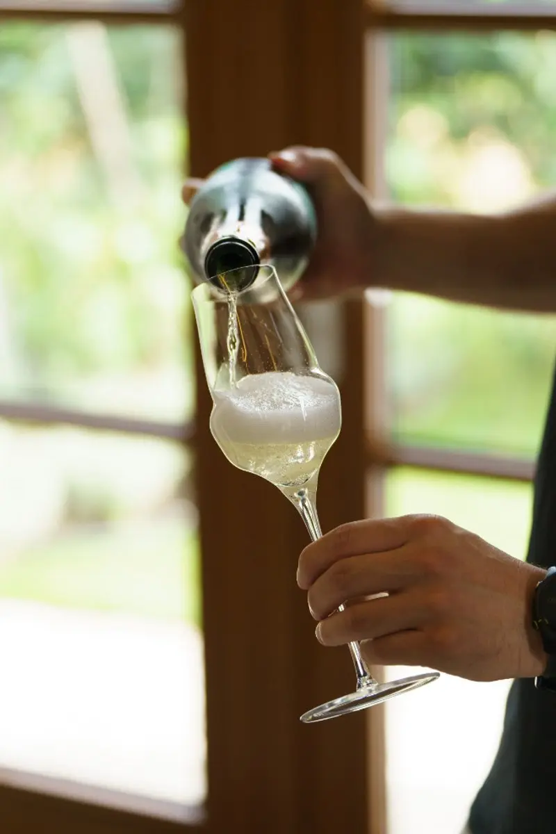 Stölzle Lausitz Cocoon Champagne Wijnglazen 290ml - 6 Stuks