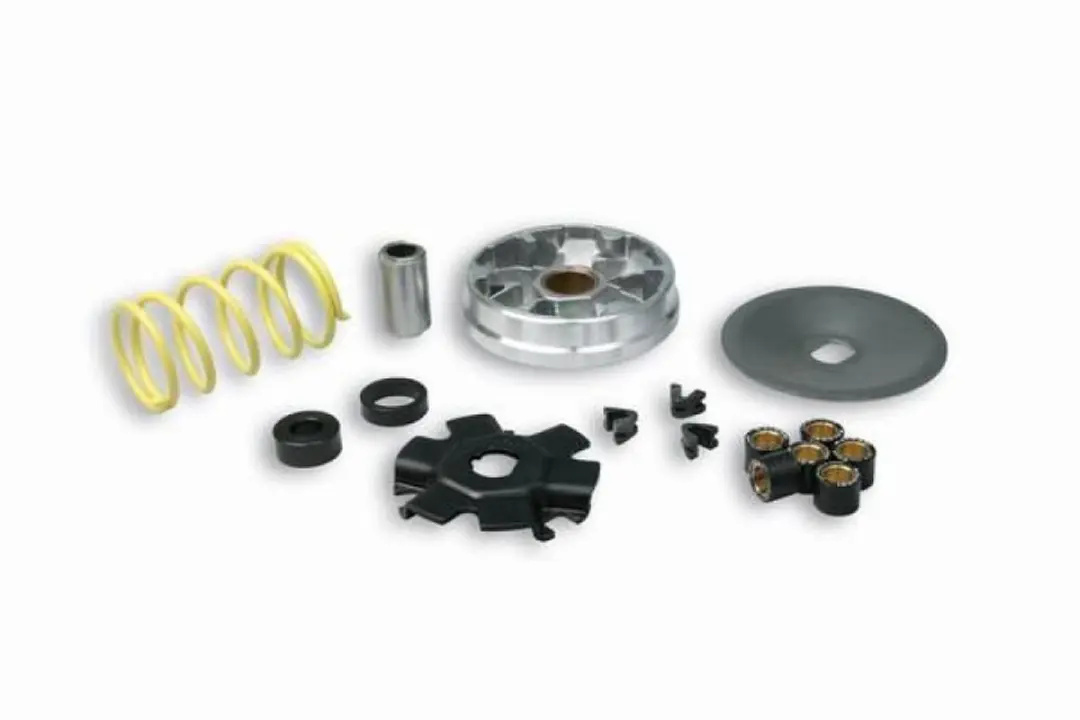 Variateur Malossi pour mobylette Piaggio 50 Bravo 513863 Neuf