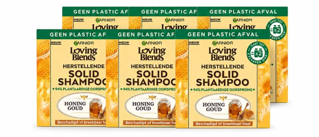 6 x Garnier