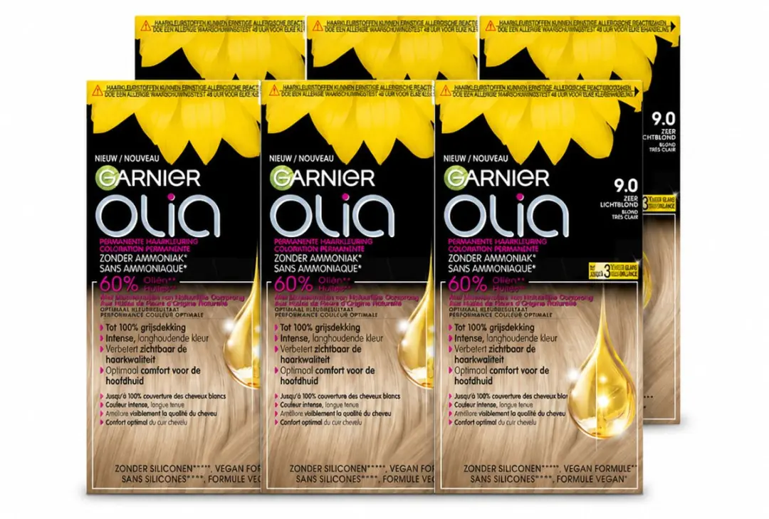 6 x Garnier