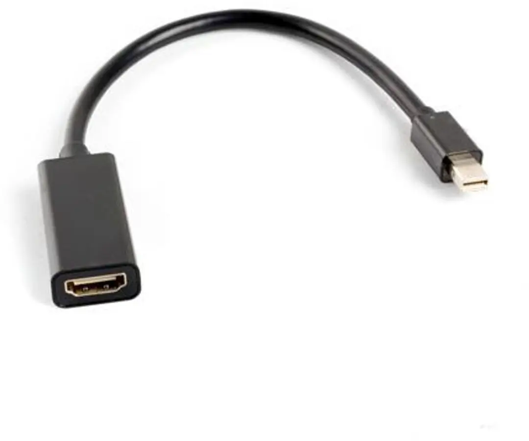 Lanberg Mini DisplayPort naar HDMI Kabel 20cm - Transparant - afbeelding 2 van 2