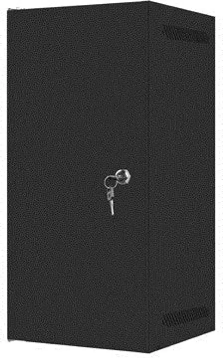 Lanberg Wandrack 10 Inch WF10-2312-00B - 280x310mm - Zwart