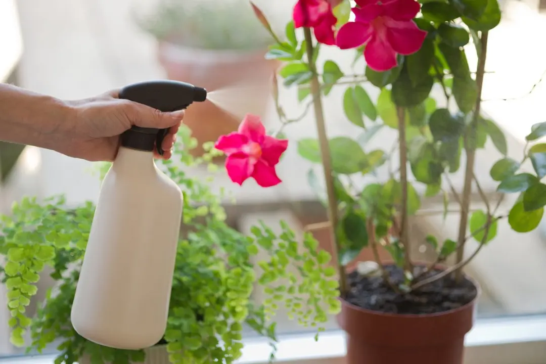 Nature Plantenspuit Ivoor - Kunststof
