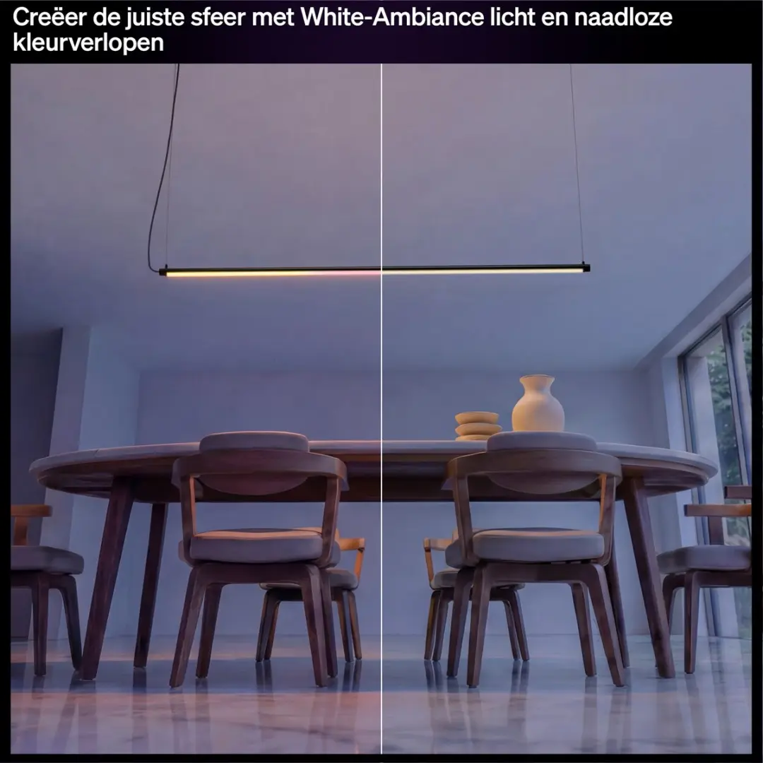 Philips Hue Signe Tube Hanglamp - Zwart - 20.000K - afbeelding 4 van 6