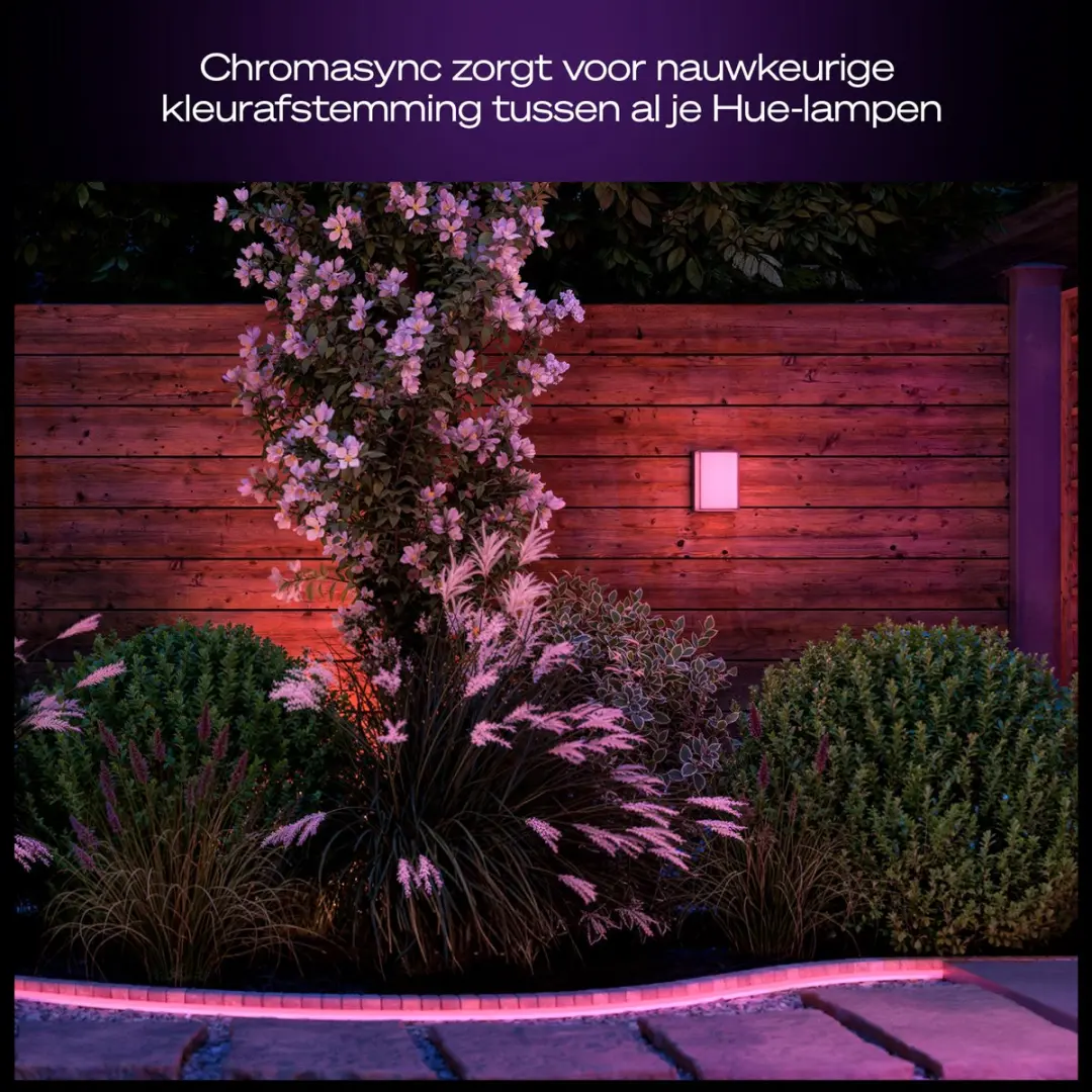 Philips Hue Scenova Tuinlamp - RGBW 7.2W - Zwart - afbeelding 6 van 6
