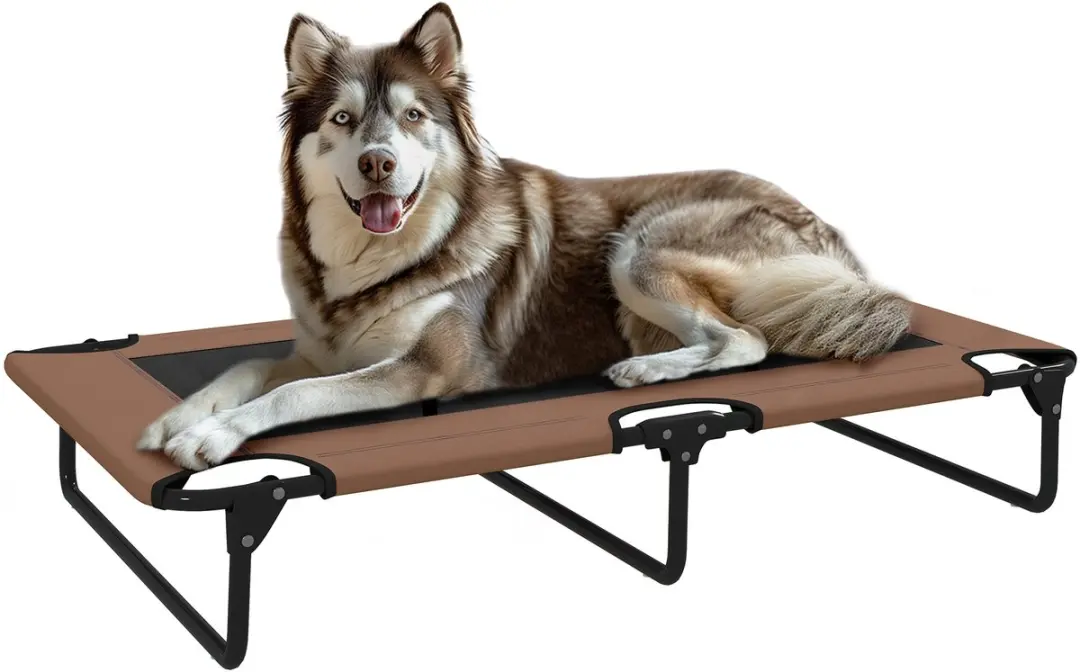PawHut Erhöhtes Hundebett klappbar Haustierbett, Outdoor Hundeliege mit Netzdes