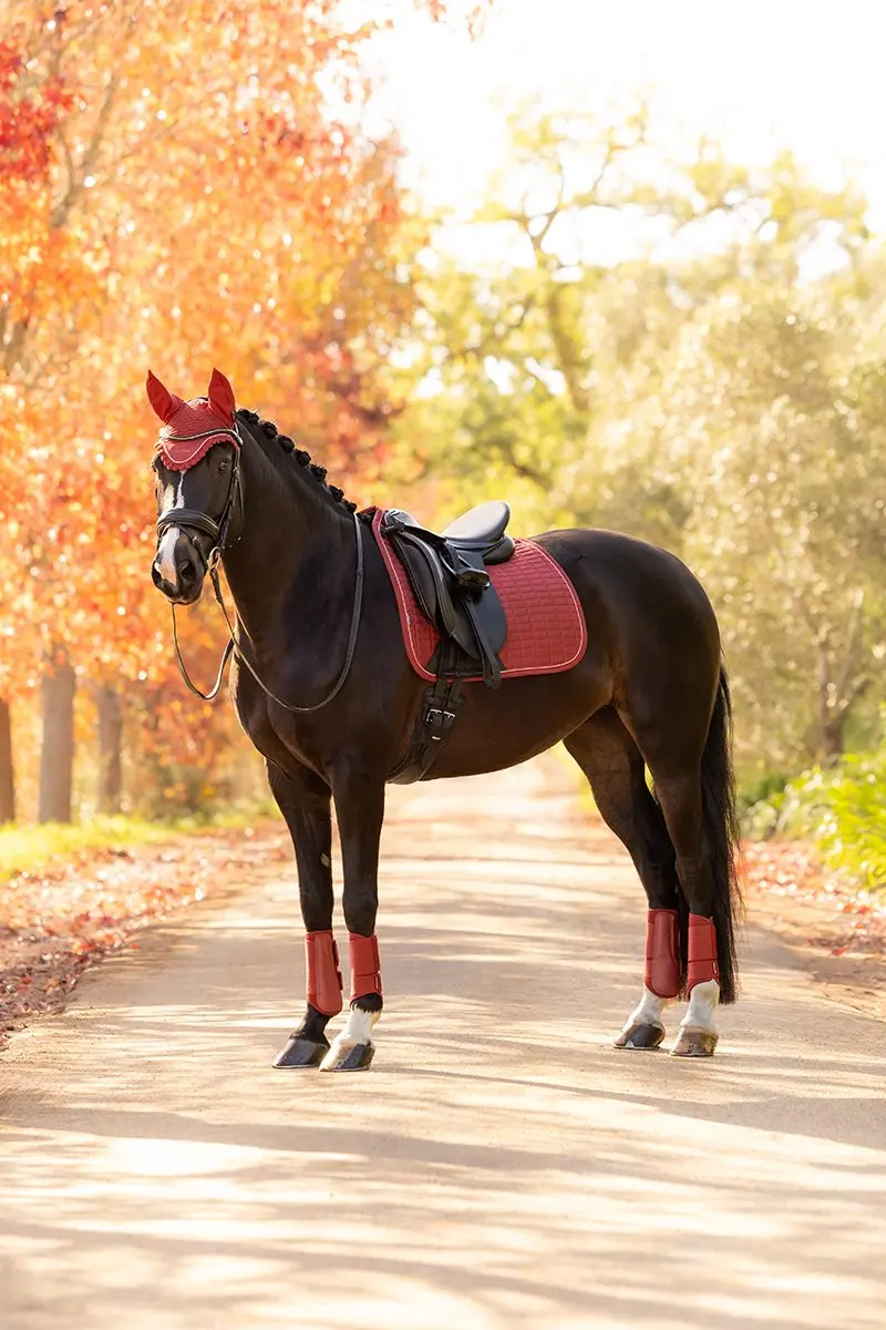 Lemieux Suede Dressage Zadeldek Full - Rood