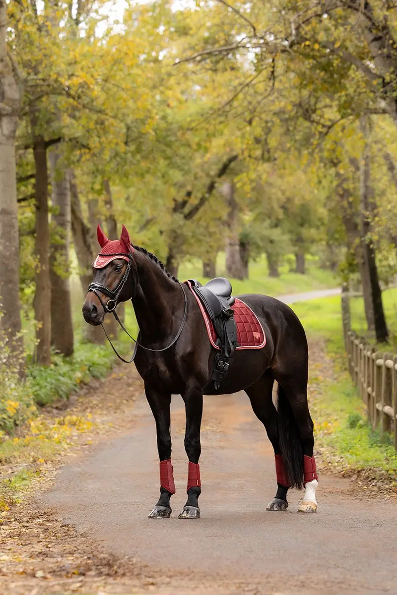 Lemieux Loire Classic Dressage Zadeldek - Full Rood - afbeelding 5 van 6