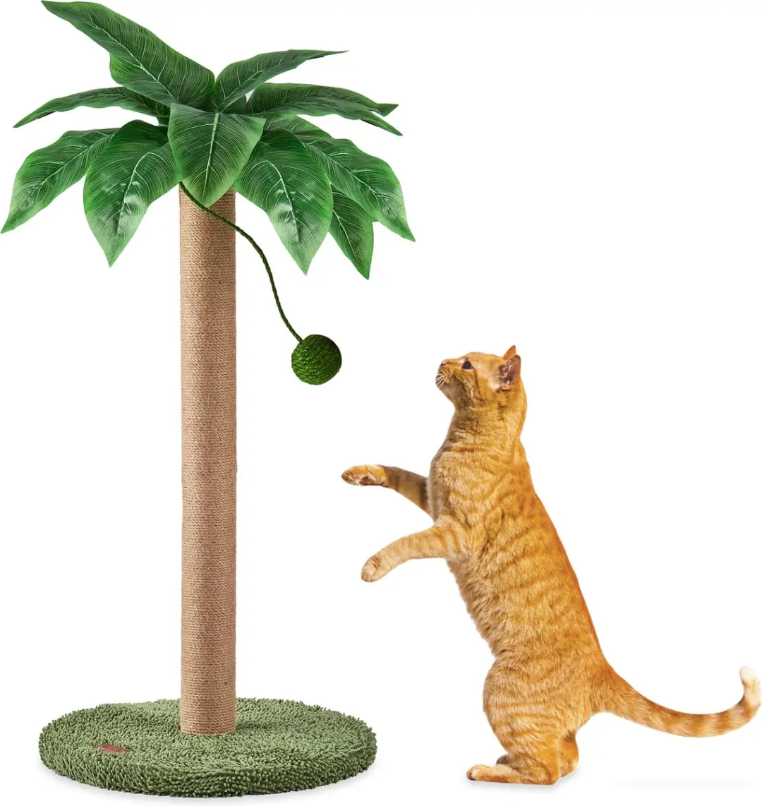 Jake and Jacky Krabpaal voor Katten
