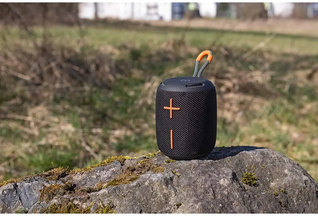 Imperial DABMAN BAS 9 Draagbare Speaker - Bluetooth/FM Radio - 14W - Zwart