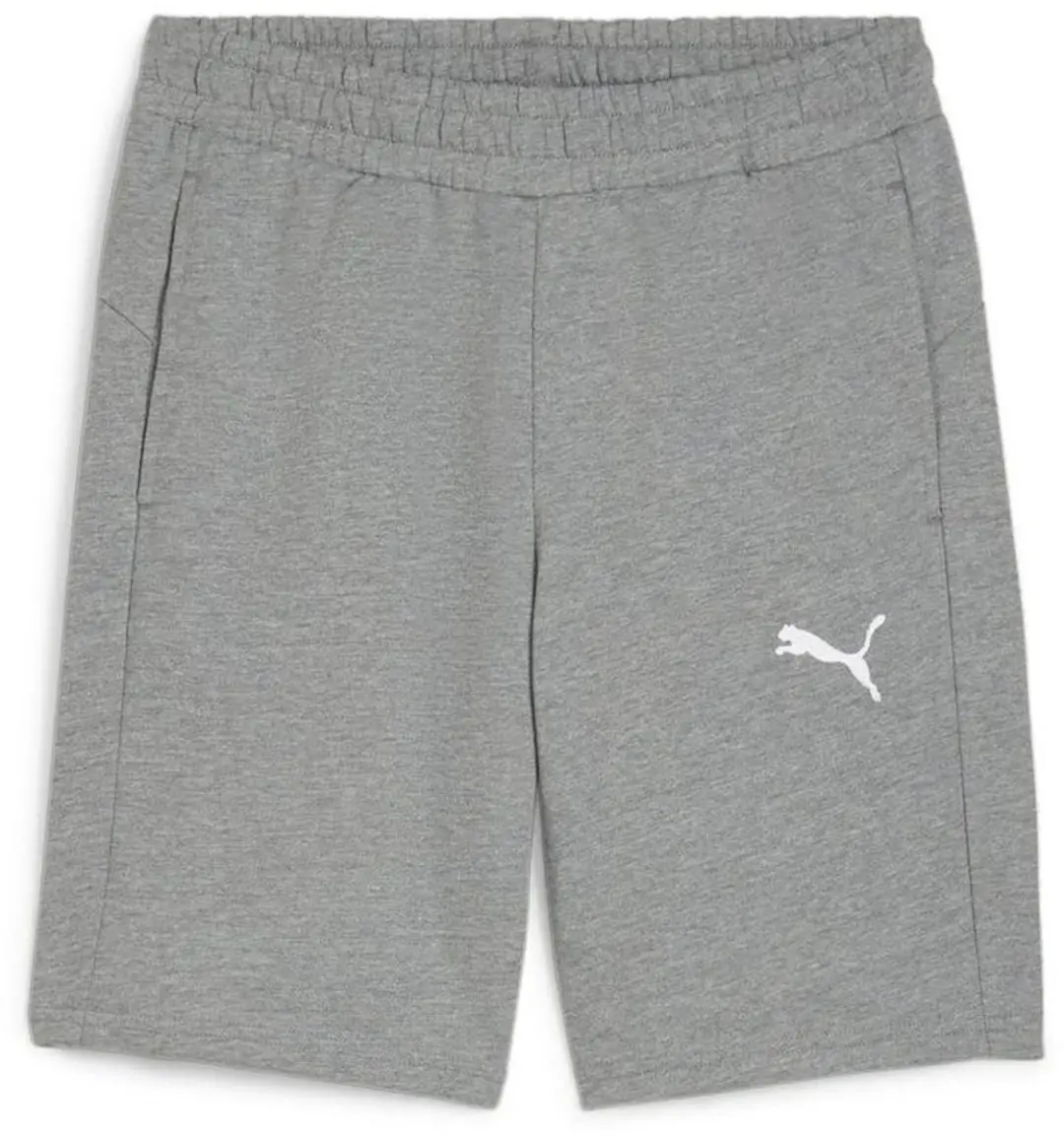 PUMA TeamGoal CasuaLongsleeve Short 658608