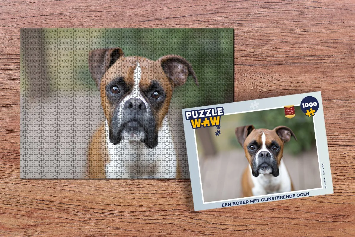 PuzzleWow Legpuzzel Een Boxer met glinsterende ogen 1000 Stuks - Multicolor
