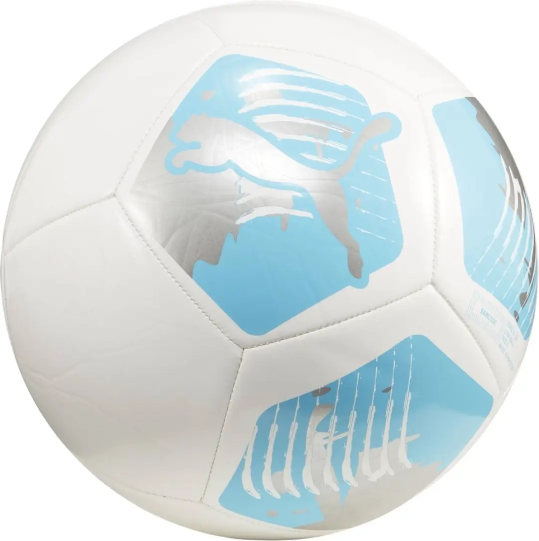 PUMA Puma Big Cat Ball Unisex