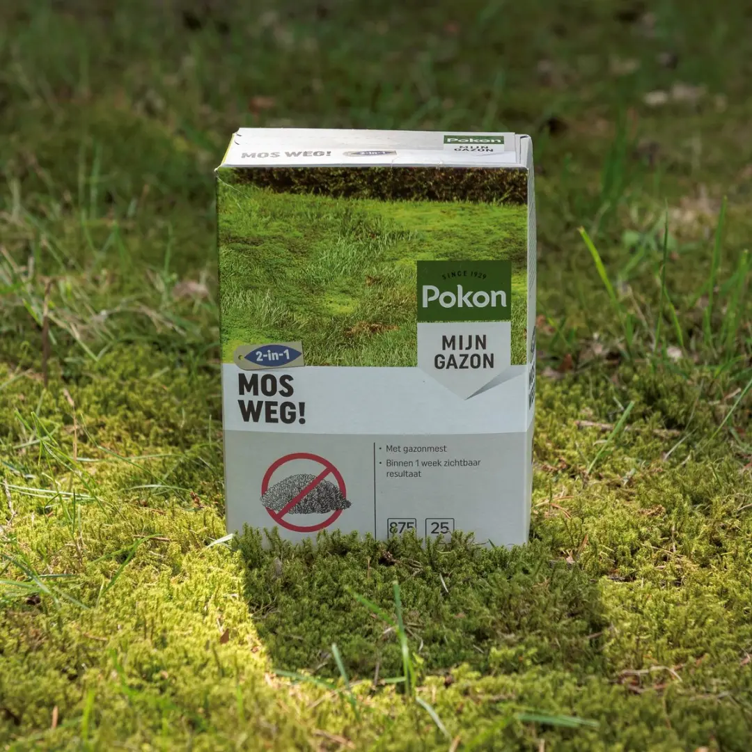 Pokon Mos Weg! Onkruidverdelger 875g - 25m² - afbeelding 4 van 6