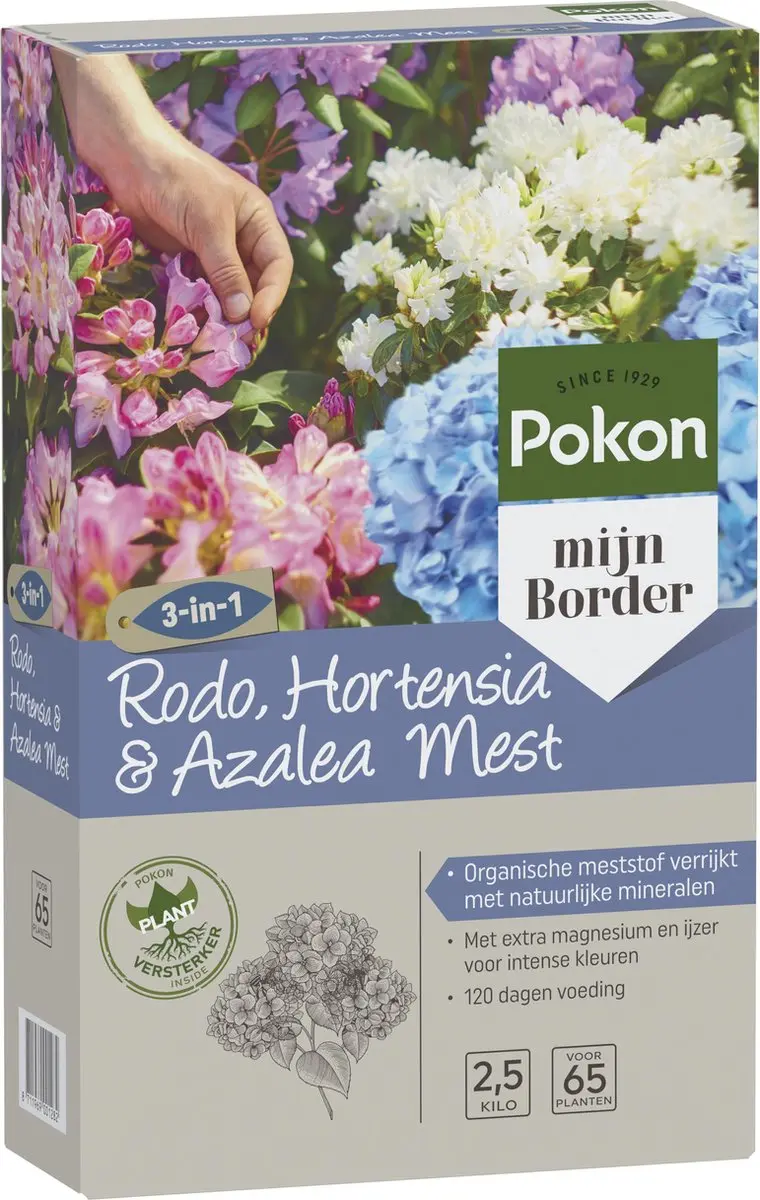 Pokon Rhododendron Hortensia & Azalea Mest 2,5kg - afbeelding 2 van 5