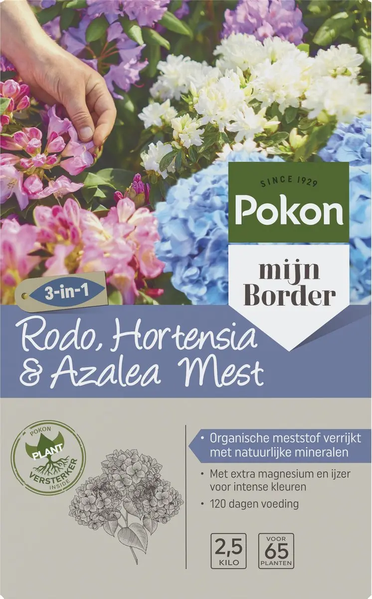 Pokon Rhododendron Hortensia & Azalea Mest 2,5kg