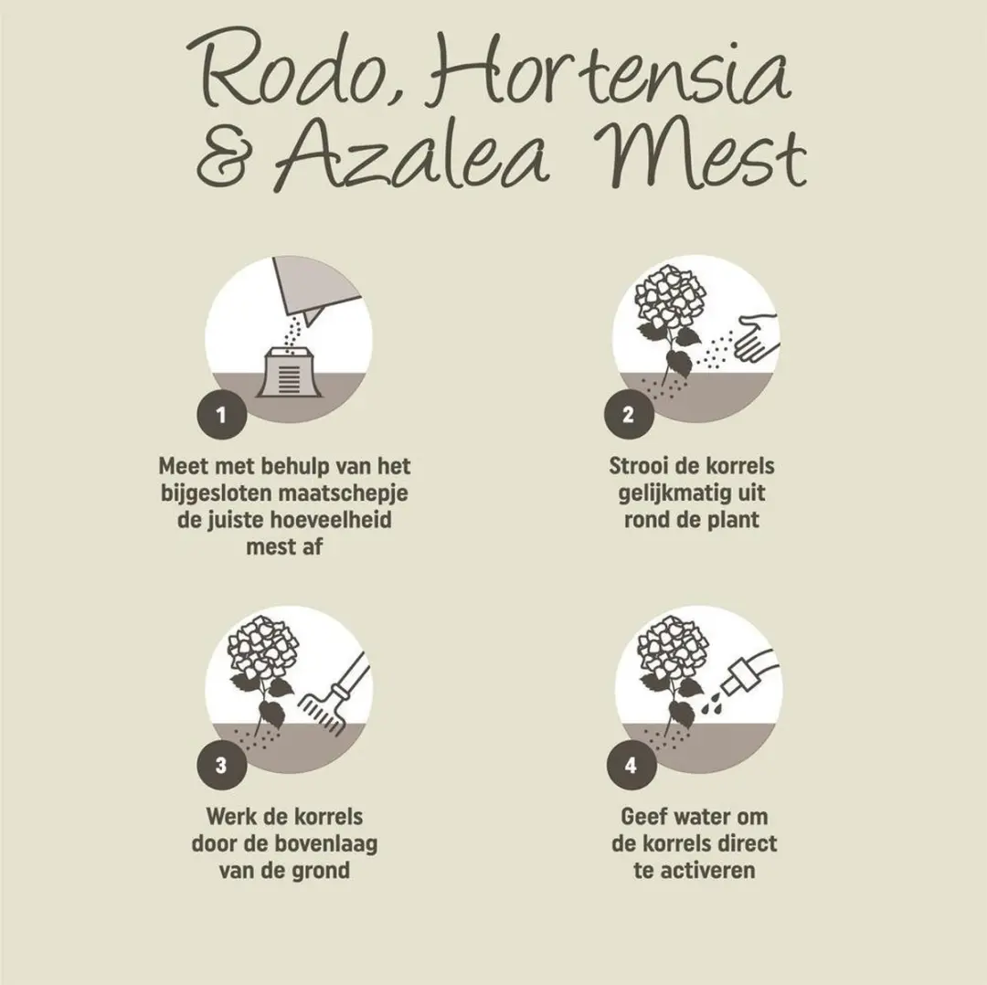 Pokon Rhododendron Hortensia & Azalea Mest 2,5kg - afbeelding 4 van 5