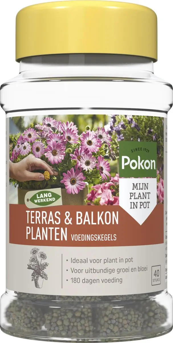 Pokon Voedingskegels Terras & Balkonplanten - 40 Stuks - afbeelding 6 van 6
