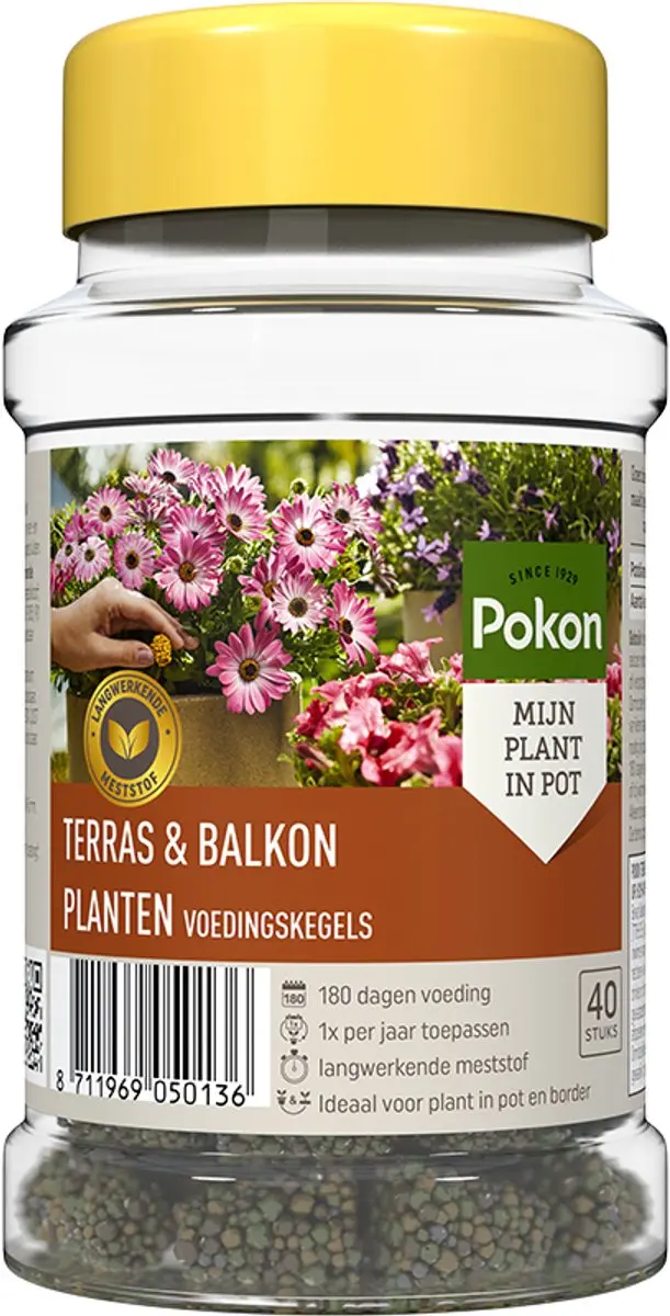 Pokon Voedingskegels Terras & Balkonplanten