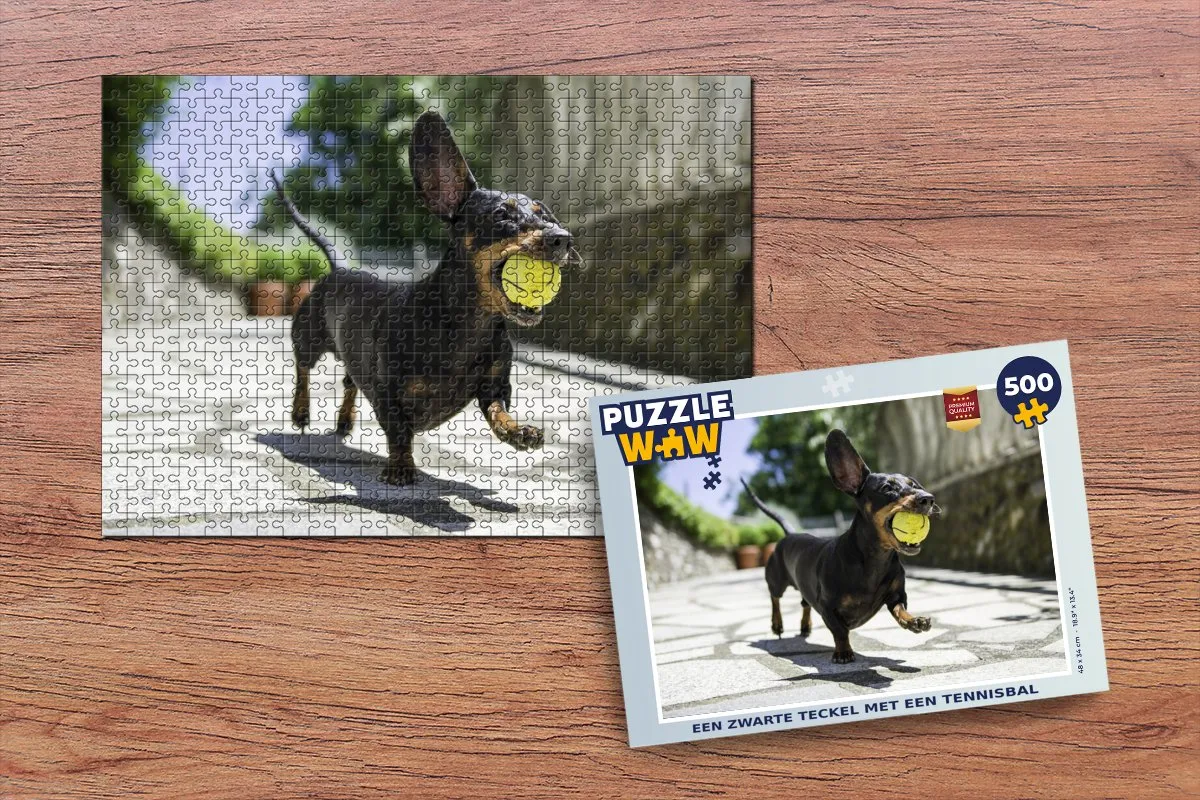 PuzzleWow Legpuzzel Een zwarte Teckel met een tennisbal 500 Stuks