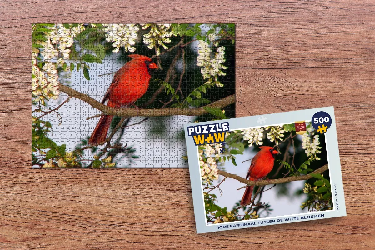 PuzzleWow Legpuzzel Rode Kardinaal 500 Stuks