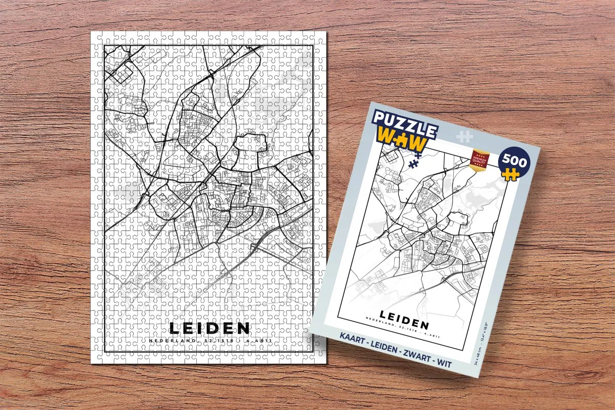 PuzzleWow Leiden Legpuzzel 500 Stuks - Multicolor