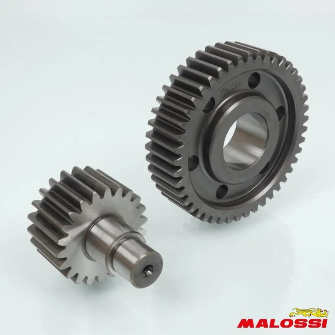 transmissie achteras malossi voor scooter piaggio 300 vespa gts super 2008 67148