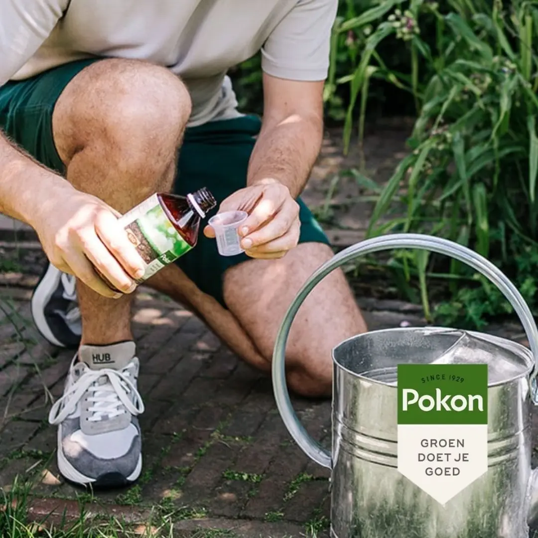 Pokon Bio Kuur Gazon 500ml - afbeelding 6 van 6