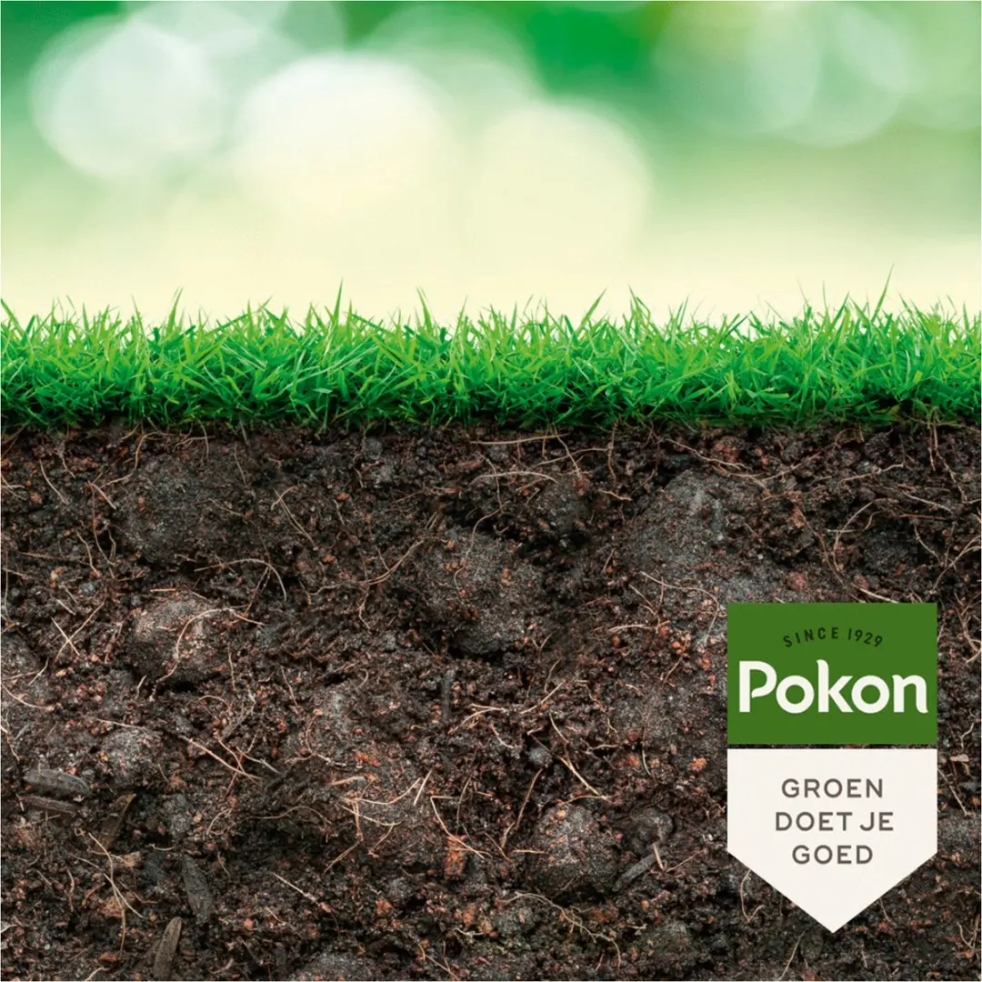 Pokon Bio Kuur Gazon 500ml - afbeelding 5 van 6