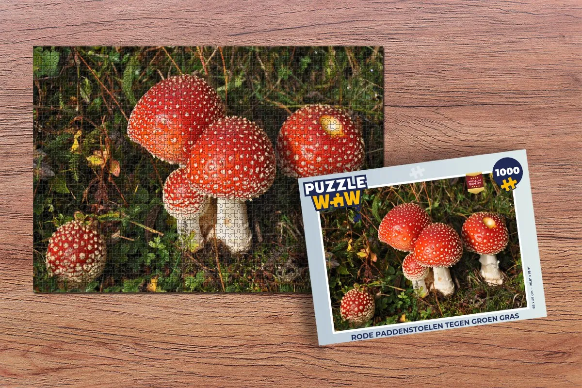 PuzzleWow Legpuzzel Rode paddenstoelen 1000 Stuks - Multicolor