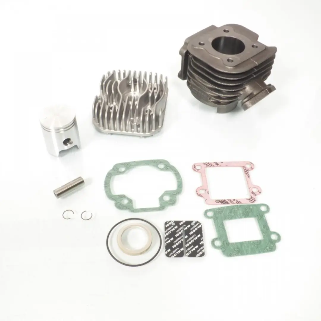Haut moteur Malossi pour Scooter Aprilia 50 Amico 31 6901T Neuf