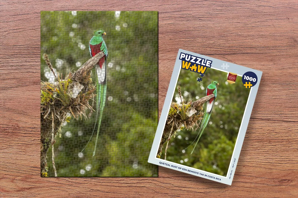PuzzleWow Legpuzzel Quetzal Costa Rica 1000 Stuks - Multicolor