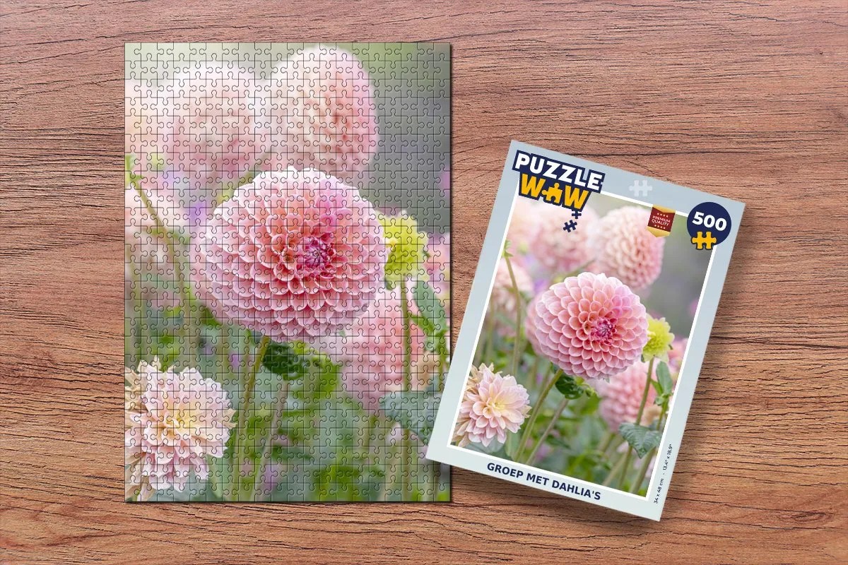 PuzzleWow Legpuzzel Dahlia's 500 Stuks - Multicolor